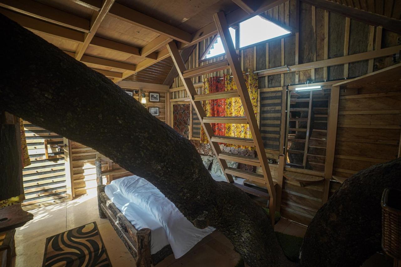 Tiger Fall Eco Resort Chakrata Eksteriør billede