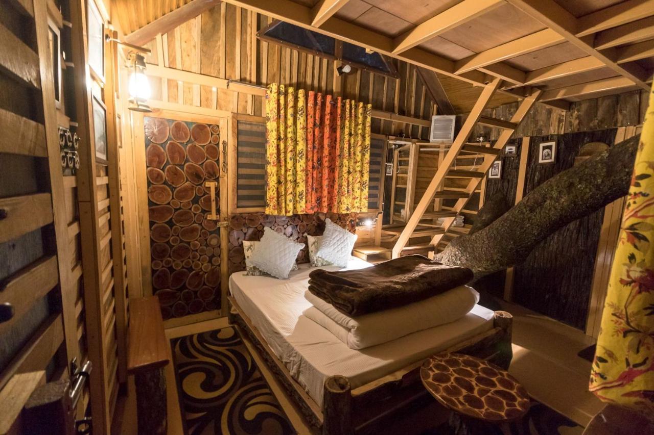 Tiger Fall Eco Resort Chakrata Eksteriør billede