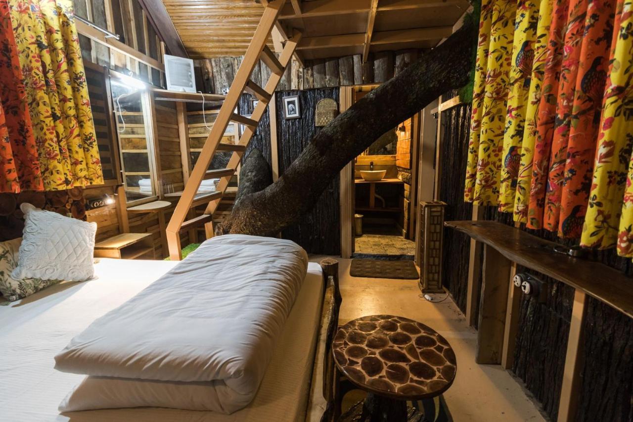 Tiger Fall Eco Resort Chakrata Eksteriør billede